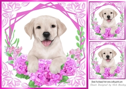 Cute Labrador Puppy with Cerise flowers 8x8