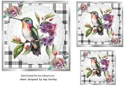 Lovely Black/White Check With White Lace 7x7 Humming Bird
