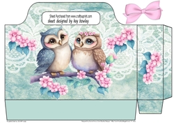 Cute Love Owls With Lace & Bow Tote Gift Bag