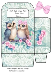 Cute Love Owls With Lace & Pink Bow Gift Bag