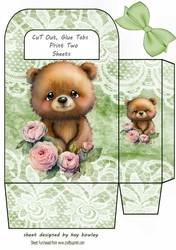 Cute Woodland Bear With Lace & Green Bow Gift Bag (two)