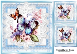 Beautiful Butterflies/Flowers On Blue Lace 8X8 Frames (Two)