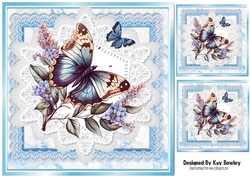 Beautiful Butterflies/Flowers On Blue Lace 8X8 Frames (Four)