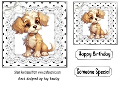 Cute Puppy in Black And White Polkadot With Lace/Bow (one)
