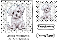 Cute Puppy in Black And White Polkadot With Lace/Bow (two)