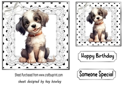 Cute Puppy in Black And White Polkadot With Lace/Bow (Four)