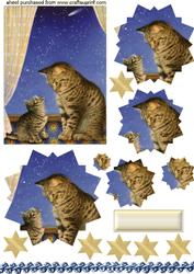 Little Kitten with Mum,star Pyramids