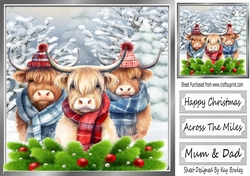 Highland Cows In The Winter With Holly 8x8 (one)