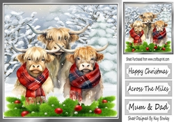 Highland Cows In The Winter With Holly 8x8 (Three)