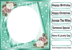  Pretty Roses Turq Stars card front Insert 8x8