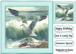 Lovely Turq Ocean With Seagull 8x8 (One)