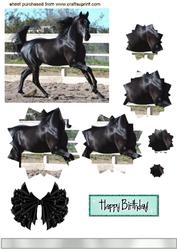 Black Beauty Star Pyramids