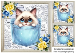 Cute Kitty In Denim Pocket With Flowers & Lace 8x8 (two)