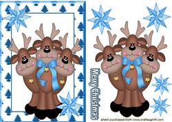 Peek a Boo! Reindeers