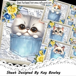 4 Cute Kitties In Denim Pockets & Lace With Flowers 8x8 Mini Kit