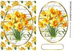 Pretty A5 Yellow Daffodils In Oval Frame & Topper 
