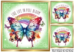 Lovely Spring Nature 8x8 Card Fronts With Words (Four)