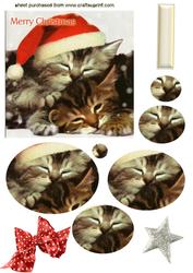 Cute Kitties with Santa Hat on Oval Pyramids
