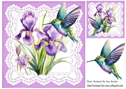Purple Iris On Lace With Pretty Humming Birds 8x8 (Three)