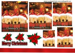 3 Little Pooches Sleeping with Santa Hats On