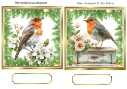 Two Lovely Robins, Toppers With Ferns & Flowers (TWO)