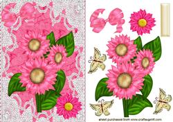 Pink Flowers on Lace