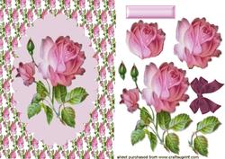 Pink Roses