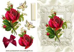Single Red Rose
