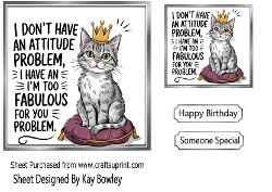 Funny 7x7 Topper Cat With Humour Caption (SILVER TWO)