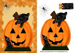 Black Cats and Pumpkin