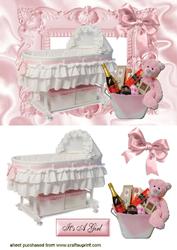 Baby Girls Moses Basket & Accessories