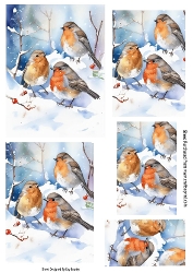 Lovely Robins In The Snow Pyramids (ONE)