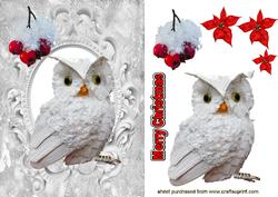 Little Snow Owl with Red Berries