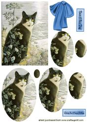 Black Cat, Oval Pyramids