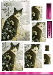 Black Cat, Square Pyramids