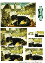 Winter Cats, Square Pyramids