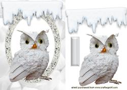 Snowy the Owl