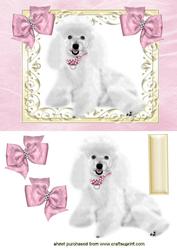 White Poodle with Pink Bows