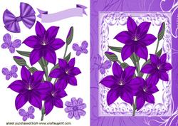 Pretty Purple Flowers