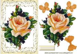 Lovely Peach Rose in Cream Ornate Frame