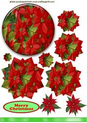 Red Poinsettias in Oval Glass Frame, Star Pyramids