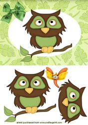 I Am Having a Hoot of a Day!