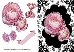 Pink Roses