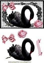 Beautiful Black Swan with Pink Rose in Lace Frame