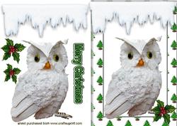 Little Snowy White Owl