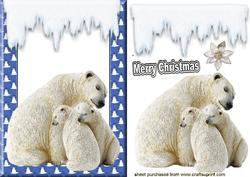 Lovely Polar Bears in Christmas Tree Frame