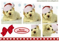 Cute Little Westie with Santa Hat on , Pyramids
