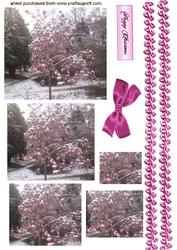A Pretty Photograph of a Pink Tree with Snow, Pyramids