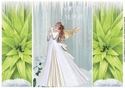 Beautiful Ice Maiden, Gatefold