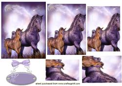 Beautiful Horse & Foal Pyramids